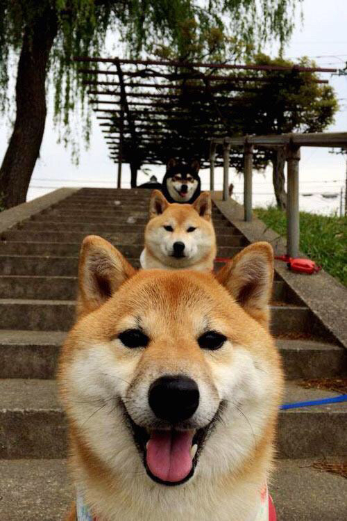 《行业专家集思广益:未来电竞的五大技术趋势》,电竞的发展潜力