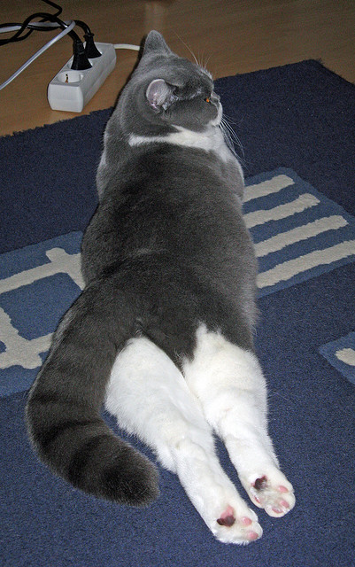 中国青少年篮球创新大赛集中展现未来潜力股票,2020年全国青少年篮球比赛有哪些