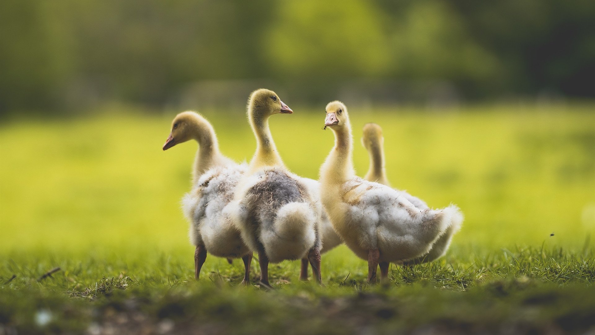 国足赛前热身赛两连胜提升信心,国足热身赛赢过哪些强队