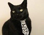 kaiyun官方网站-排球大满贯赛：强者之巅的精彩对抗，排球大满贯运动员