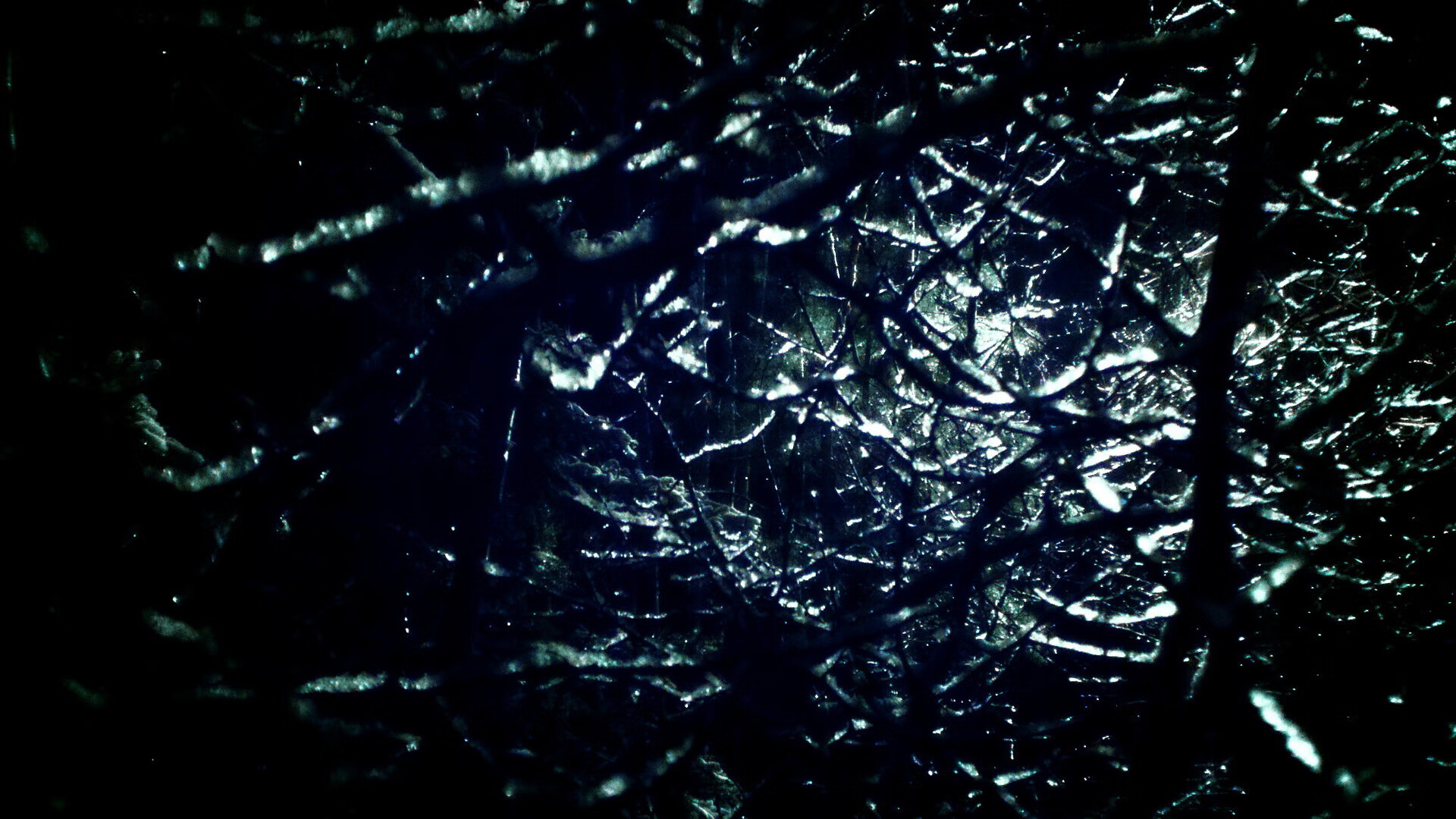 瑞士马术协会与美洲马术协会合作，举办国际马术交流活动，促进文化互鉴。