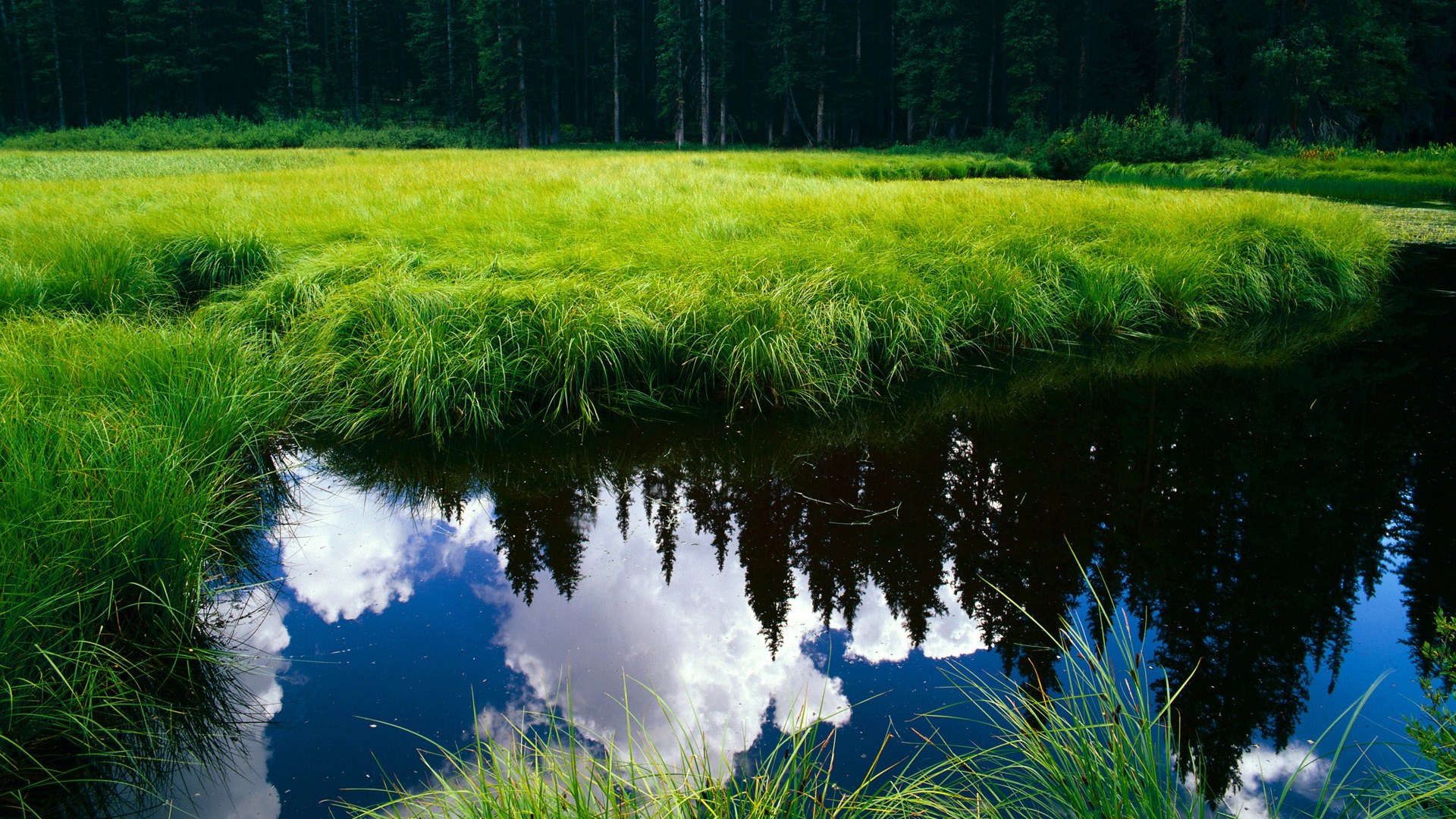 破纪录大师:今年可能打破哪些历史纪录?,打破纪录破记录区别