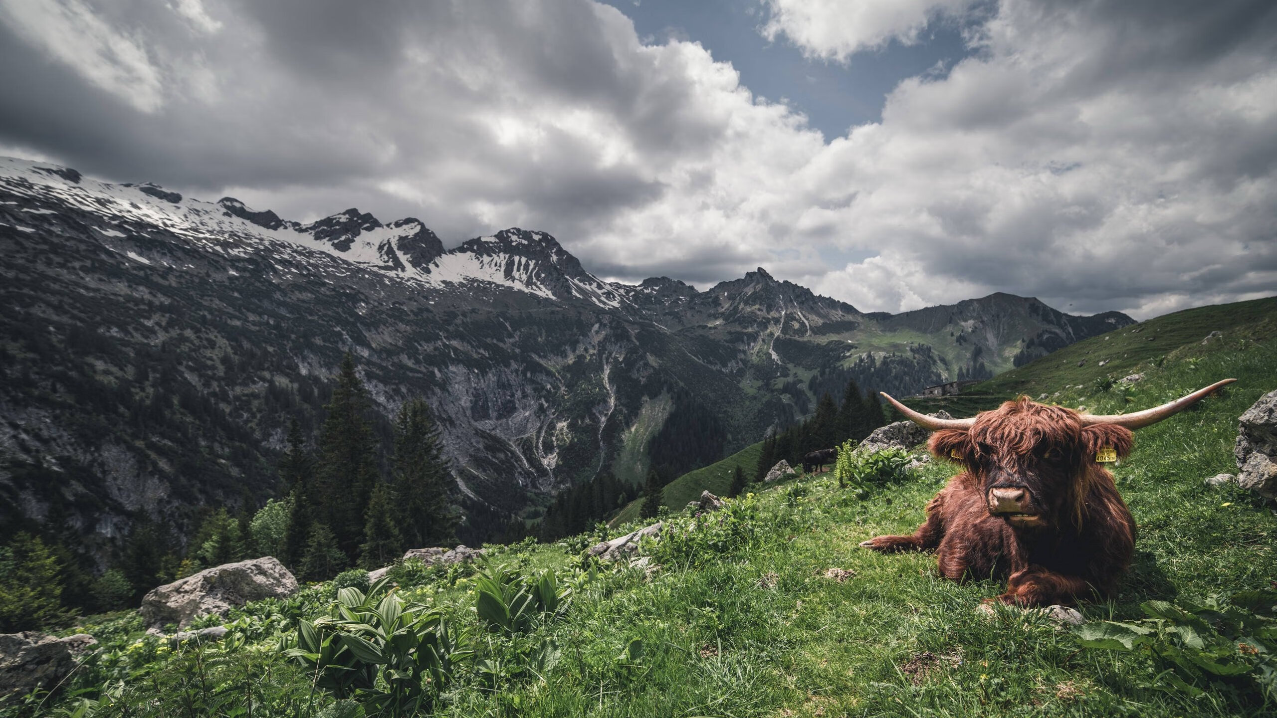 美国马术协会与亚洲马术协会建立合作关系,推动区域发展。,美国马术俱乐部