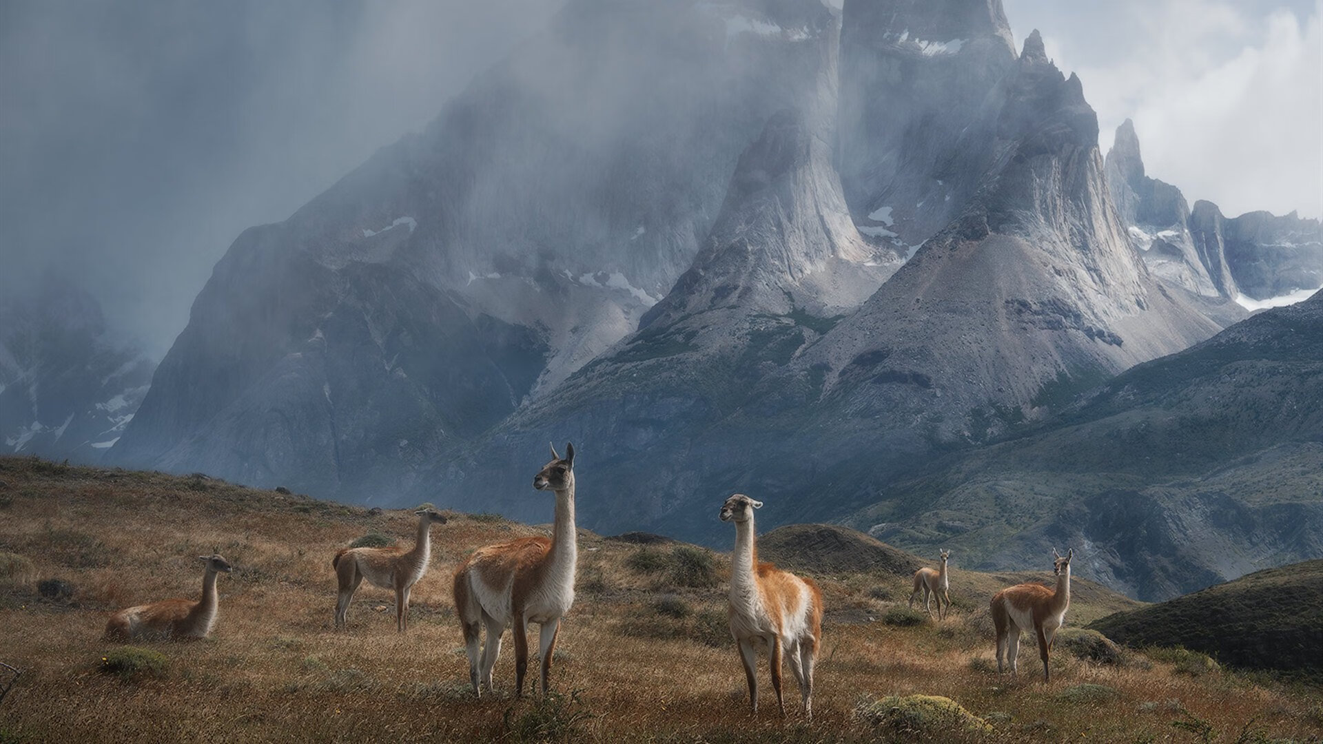 KAIYUN 中国大陆-足球场馆建设全面提速满足城市发展需求，足球场建设实施方案
