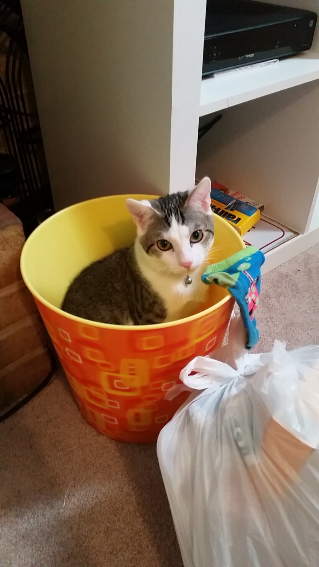 Kaiyun(中国)开云-雪中失误变神助攻，塞内加尔后卫封神出圈，塞内加尔鳎