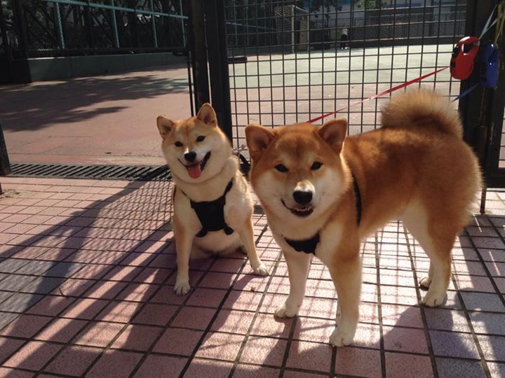 青少年“篮动青春”全国巡展引爆青训热潮,jl3×3青少年篮球公开赛