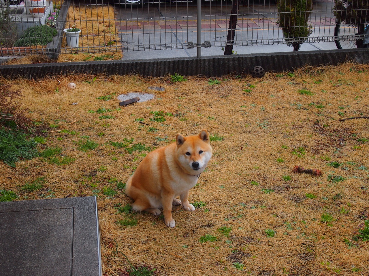 青少年“智慧篮”科技创新产品在全国青训展览中获奖,青少年智能设计大赛