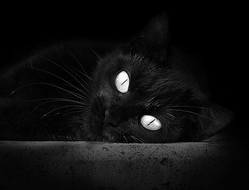 开云网页版登录入口-青训“绿色+智慧+创新”产业链布局不断扩展，行业迈向高端生态