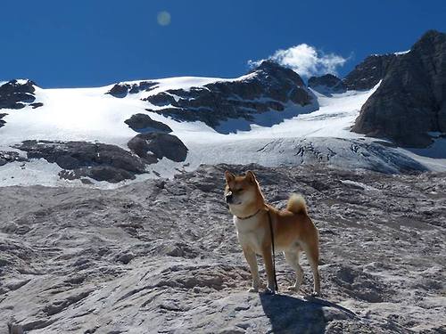 kaiyun网站-FaZe电竞品牌拓展LOL内容创作，fatail电竞