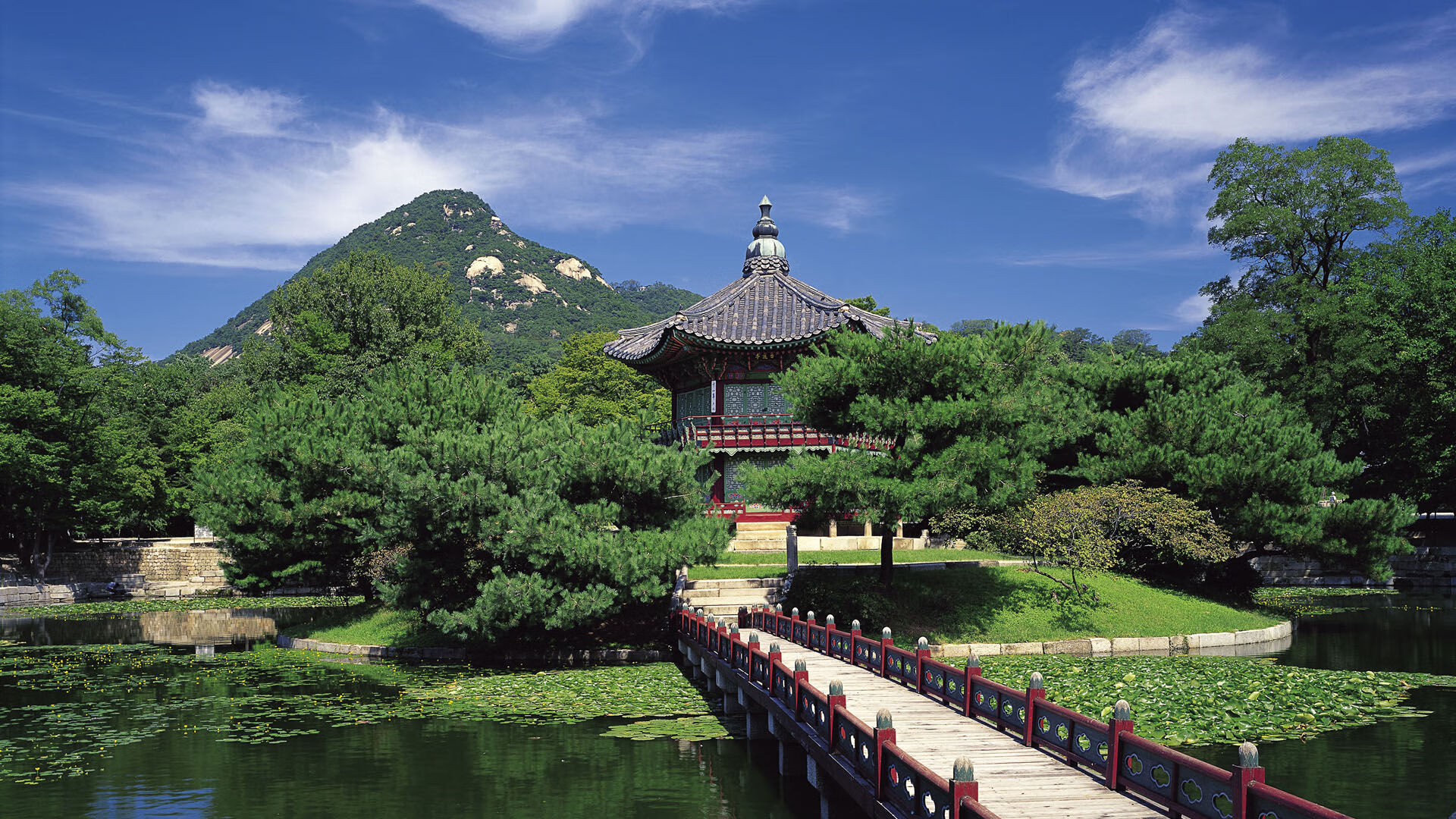 FaZe参投北美英雄联盟青训计划,faze战队比赛