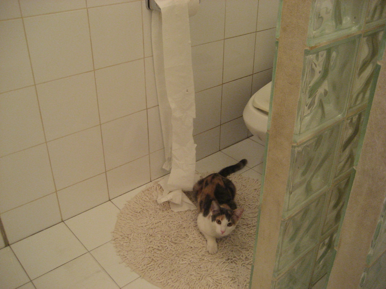 开云kaiyun-FaZe × Riot Games或将开启合作项目