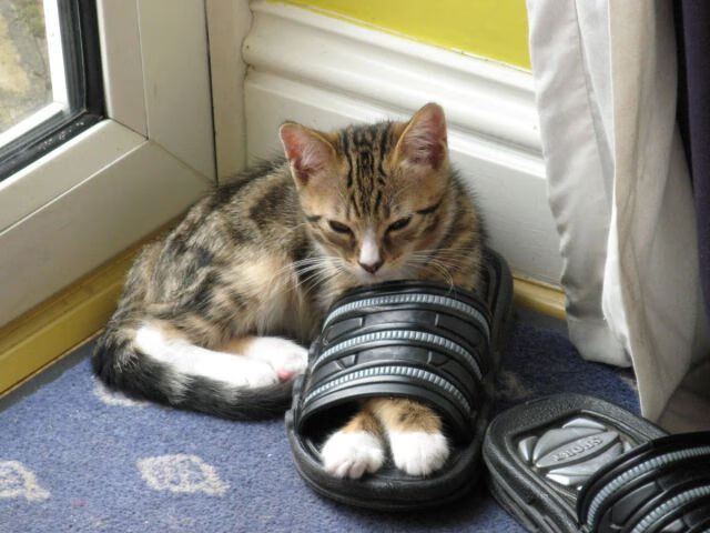 中甲联赛的俱乐部球迷互动,中甲参赛队