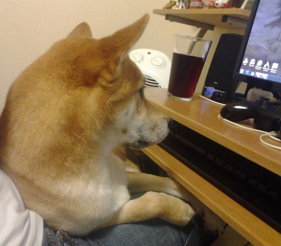 中超是否存在假球黑哨死灰复燃风险,中超 黑哨