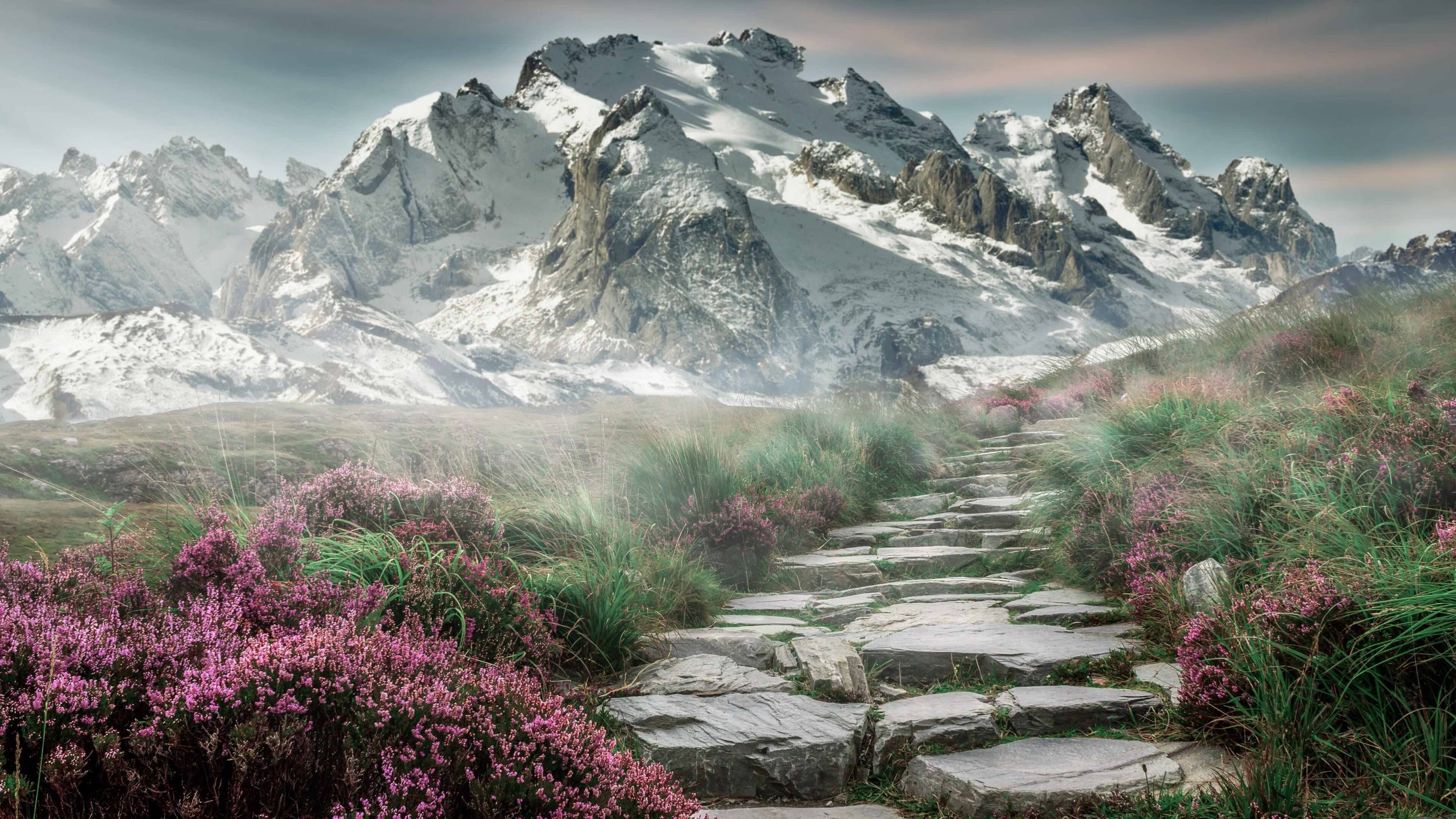 中超联赛冠军争夺战进入白热化,2020中超争冠规则