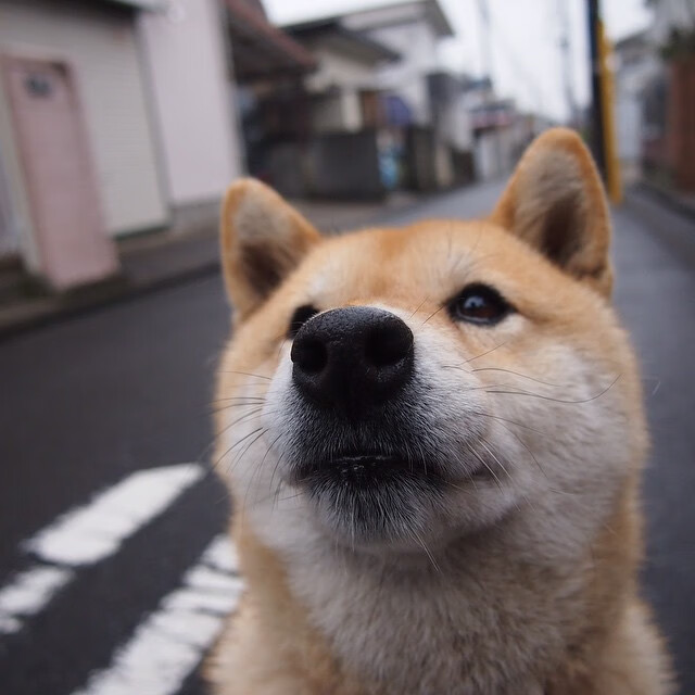 利物浦客场小胜狼队，冲刺积分榜榜首，利物浦跟狼队比赛